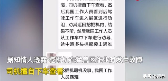 被熊袭击受害者为27岁青年！网友建议：吃人熊必须枪毙