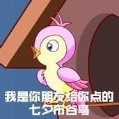 表情|七夕布谷鸟表情包出炉 简直是不给单身狗活路了