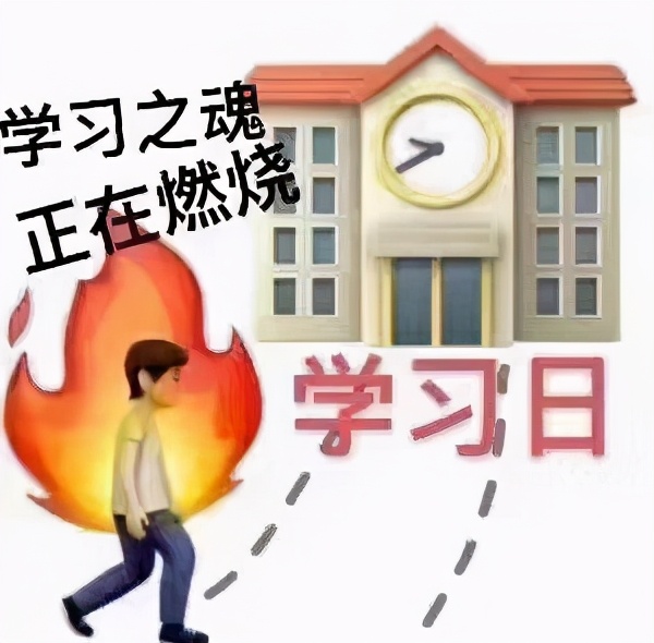 日专生看了都眼酸：业余选手一年稳过N1,零基础学习双项满分