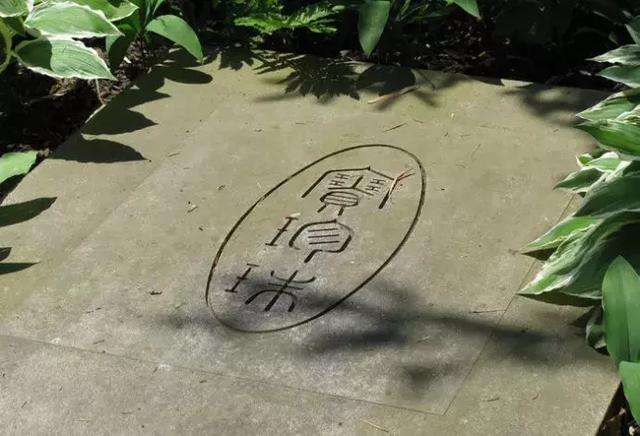 這位美國(guó)女人在中國(guó)生活40年，獲得諾獎(jiǎng)時(shí)說(shuō)：中國(guó)是不可戰(zhàn)勝的