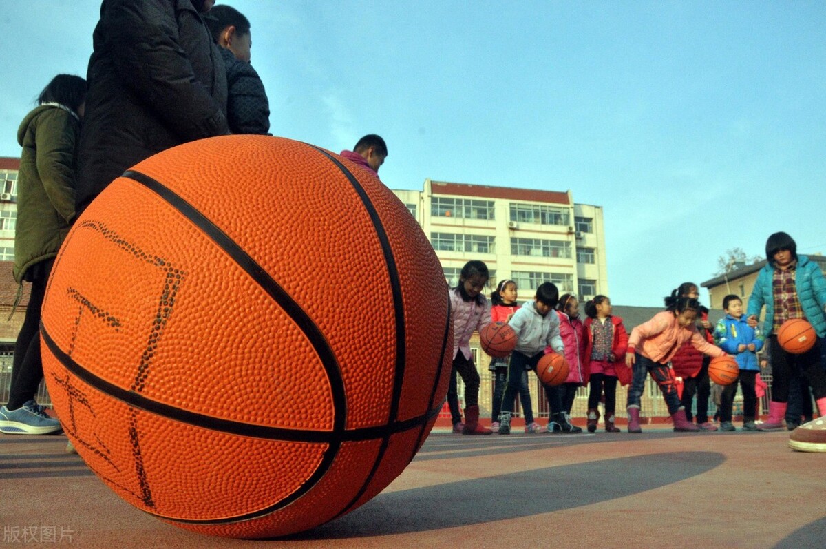 体育馆教务管理系统一般有哪些功能？