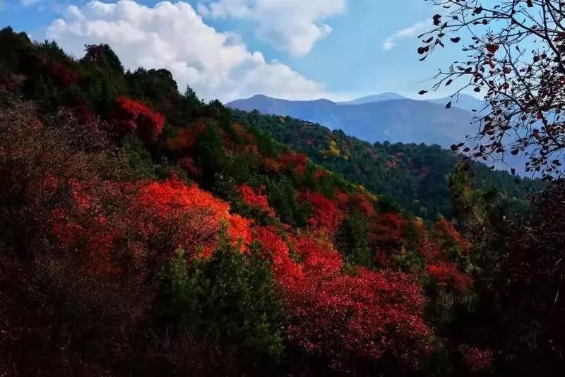Shanxi's beautiful tourist check-in place, it becomes a paradise on earth in autumn, which is amazing