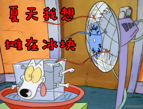 夏至节气祝福语、祝福短信,夏至的问候图片