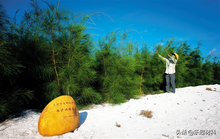 �̻���ħ���������פ�����϶˻���������˺���ɭ��