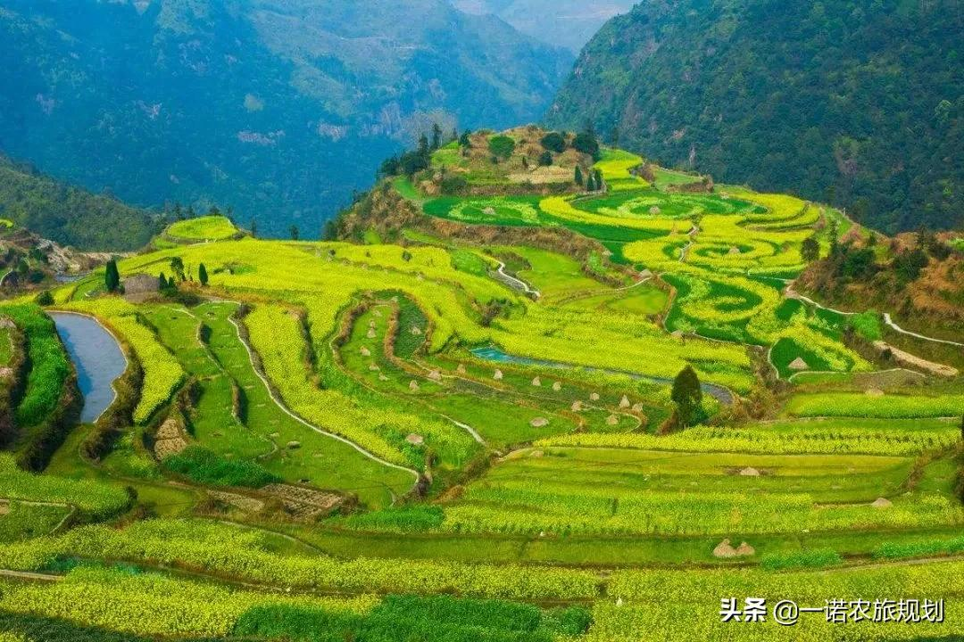 乡村产业，可申报的14项国家项目补贴