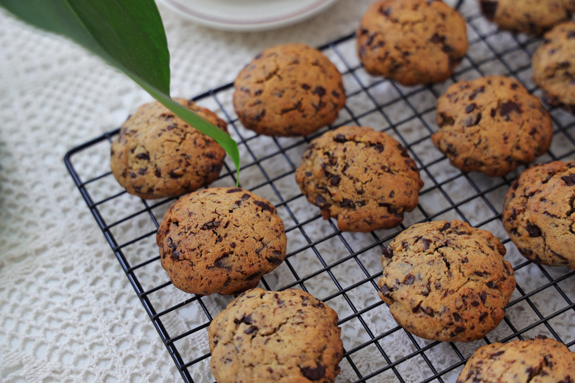 星巴克38塊錢1塊的曲奇，教你在家做，簡單無難度，好吃又高檔