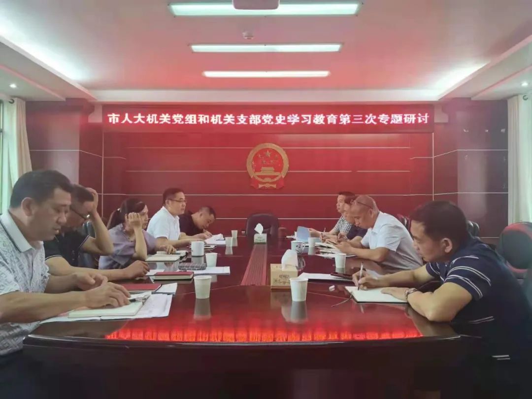 读懂强党之路 感受信仰之力——洪江市人大常委会机关深入开展第三次党史学习研讨