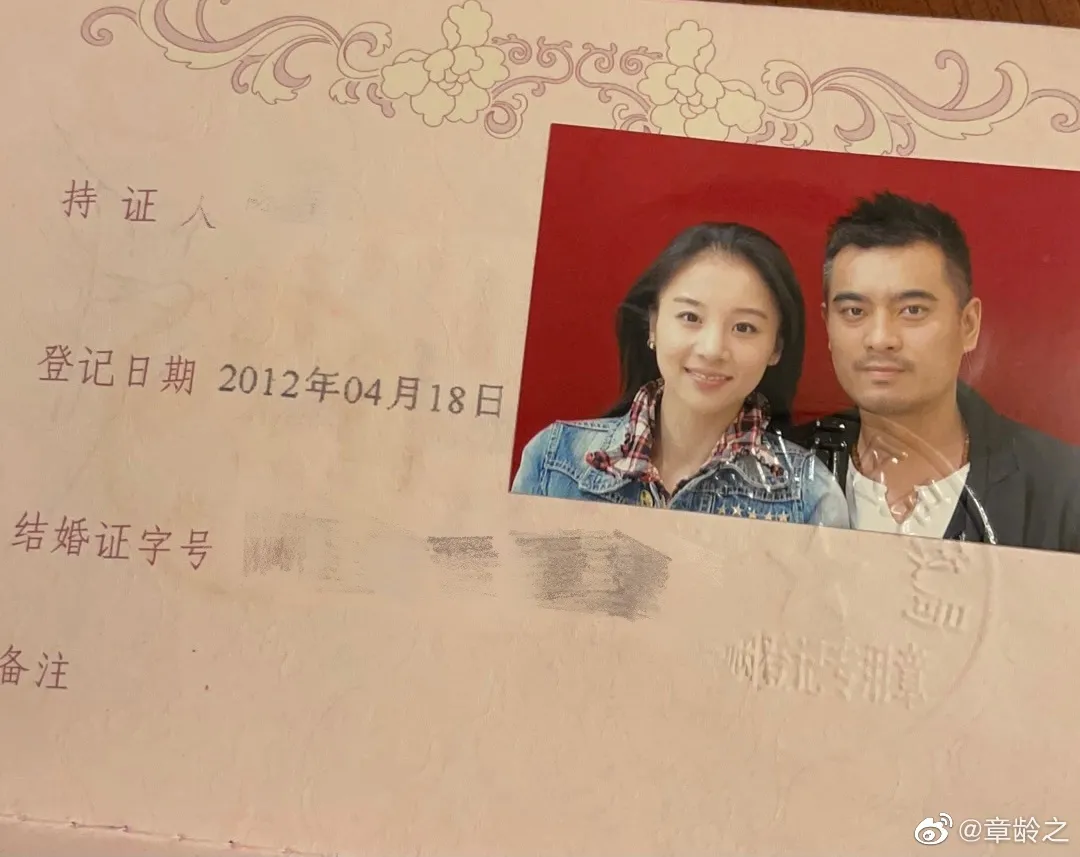 陈龙章龄之:闪恋闪婚闪孕,婚后9年无绯闻,一