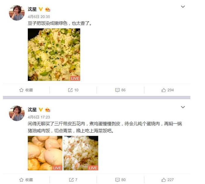 2009年,“凤凰卫视一姐”沈星和冯小刚被曝“夜宿