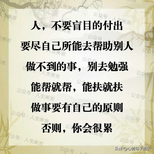 我本善良，但请别把我当傻子！（句句戳心）