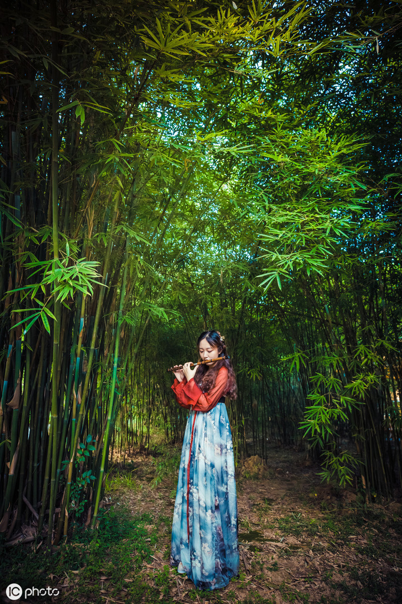 赞颂竹子的唯美诗句：新竹高于旧竹枝，全凭老干为扶持图片