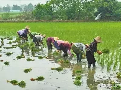 当涂县属于哪个市(当涂县的历史概述)插图10 马鞍山当涂,曾统领芜湖500年