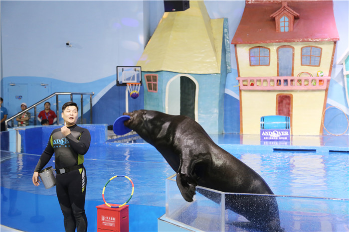 神秘之海，阜阳即将呈现