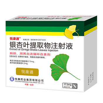 银杏叶提取物注射液
