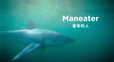 小神兽宅家太无聊？孩子们高质量暑假这样过
