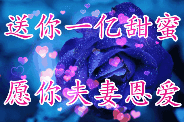 十一|今天正月十一祝福 一心一意的祝福送给群里的朋友谁打开谁幸福