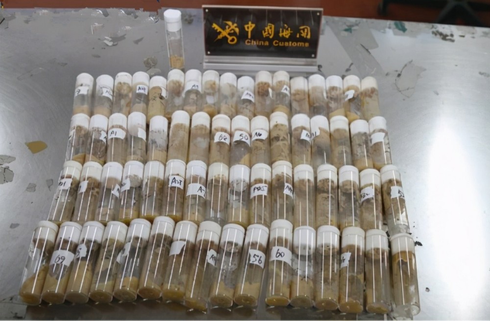 警惕生物戰(zhàn)！海關(guān)截獲美國包裹，7000只黑腹果蠅恐成為果農(nóng)噩夢