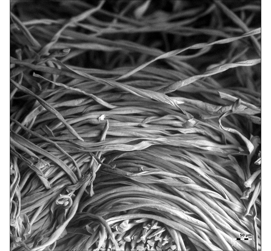 棉布口罩防病毒，效果不输N95（DIY攻略请收好）