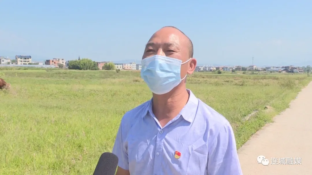「全面推進鄉村振興」連城：創建農村區域化黨建聯盟 點燃鄉村振興發展新引擎?