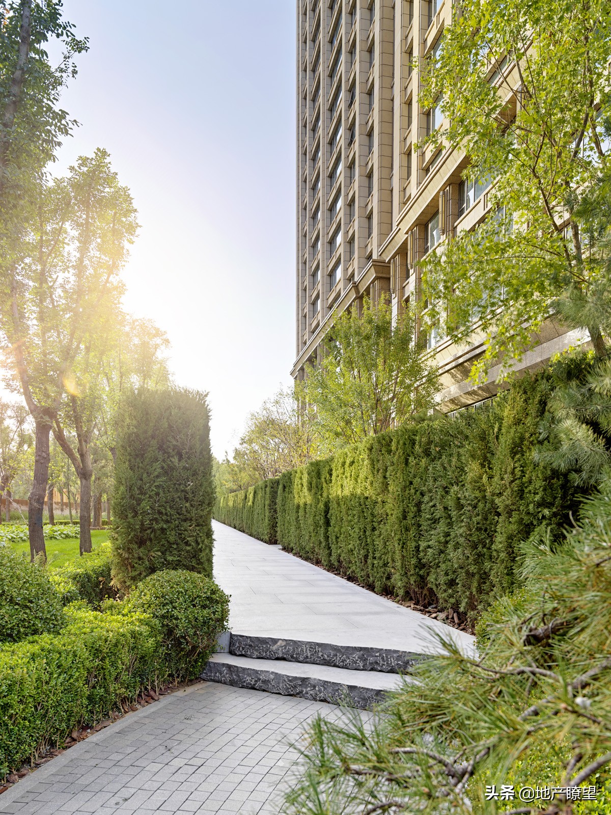 音乐盛事｜亚洲国际爱乐顶级交响乐艺术家献演