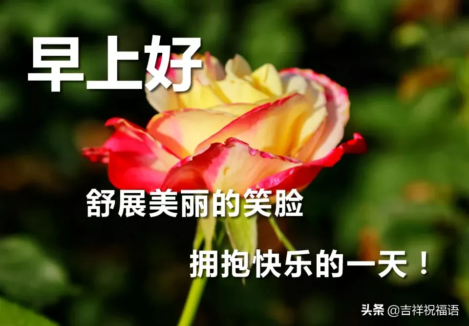 早晨好唯美图 早上好的图片表情带问候句子图片