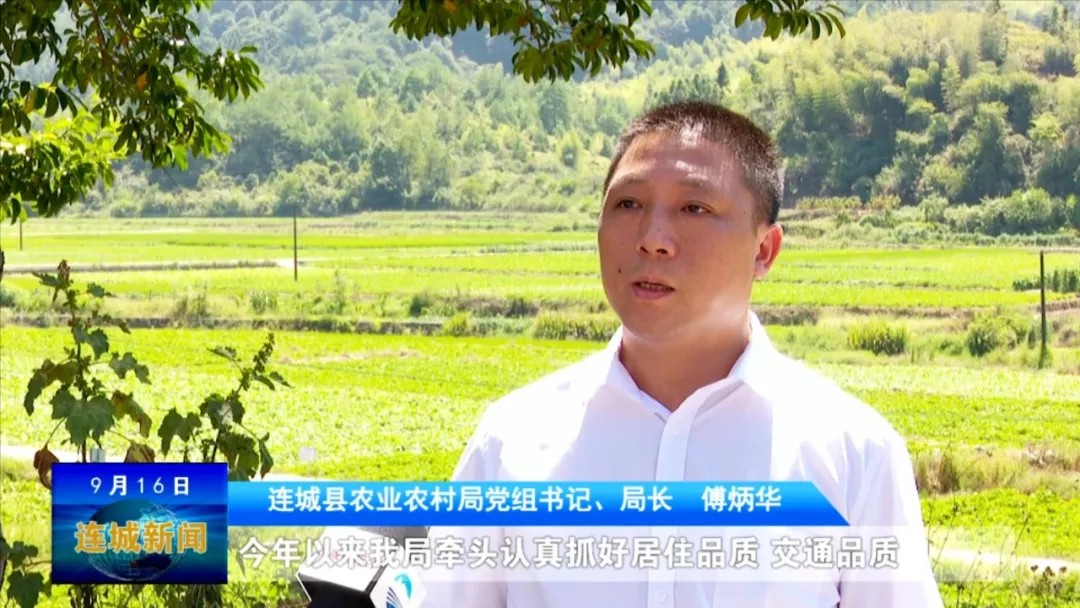 「勇擔新使命 奮進新征程」連城縣農業農村局：鞏固拓展脫貧攻堅成果 全面推進鄉村振興