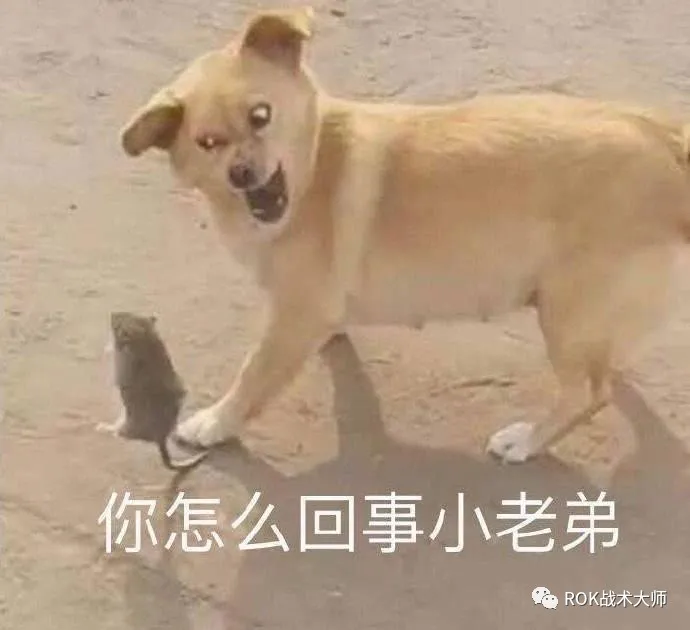 万国觉醒丨K4英雄赞歌介绍（下）
