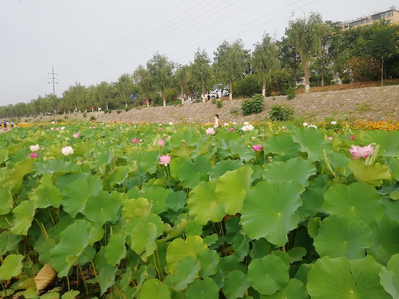 今日头条，一个第一时间传播正能量又敢于直面问题的地方