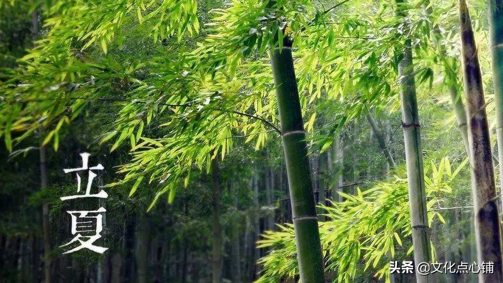 道尽最美的夏日时光-第5张图片-非凡网