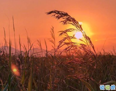 一个人看夕阳的感慨 适合发日落的朋友圈图片