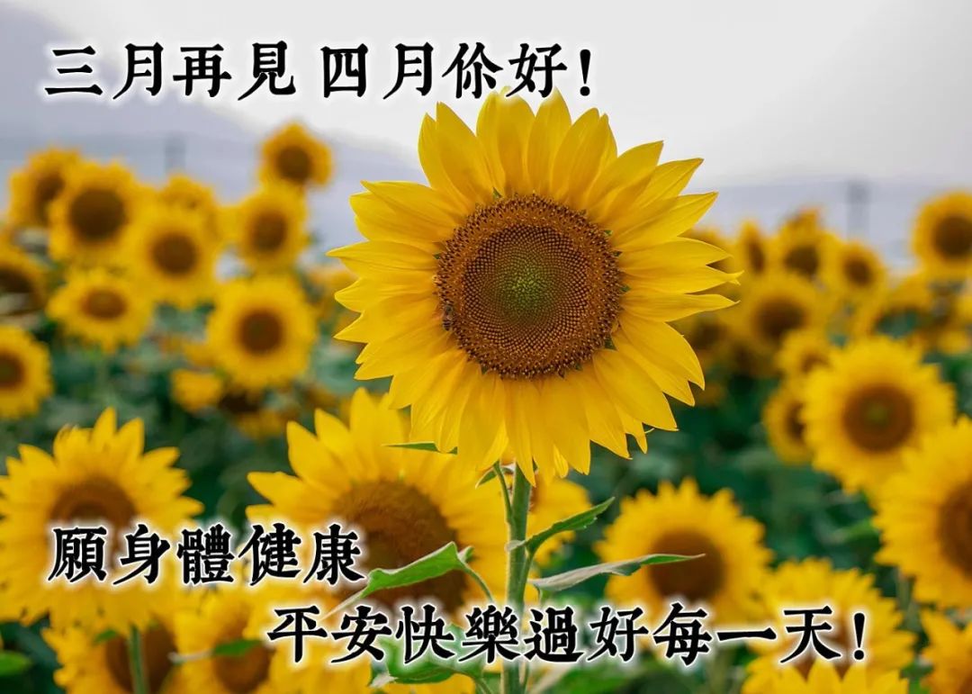 三月再见四月你好的早安祝福图片告别三月迎接四月的高清图片