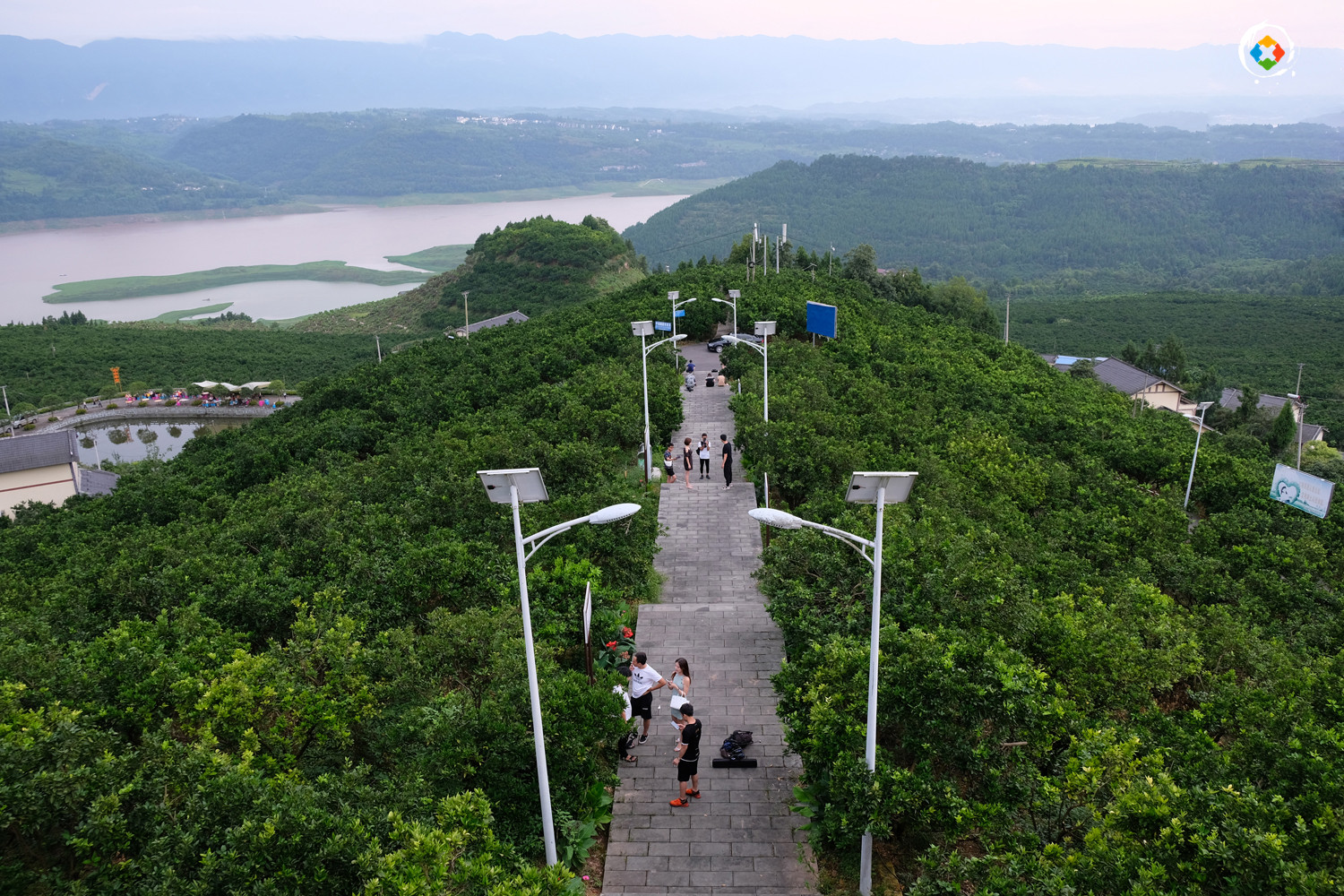 重庆两个以柑橘闻名的区县，江津基本已经放弃，忠县开发新模式