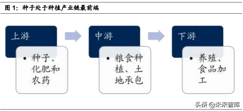 种业深度报告：高粮价出业绩，转基因落地抬估值