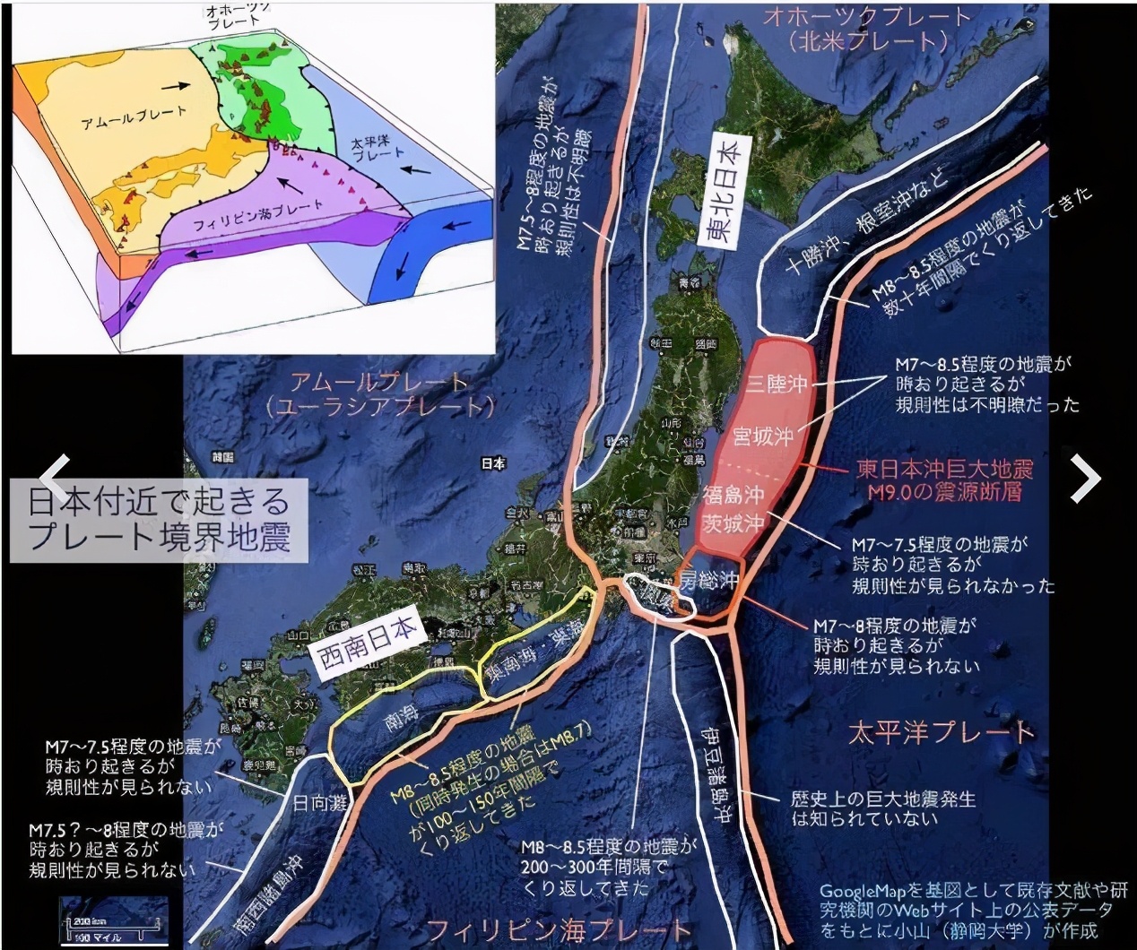 日本深海乌贼浮上岸，短期出现两次，专家称或预示大级别地质活动