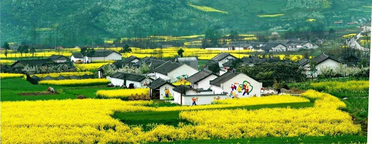 城乡“下沉市场”投资新风口，哪些产业即将成为争夺焦点