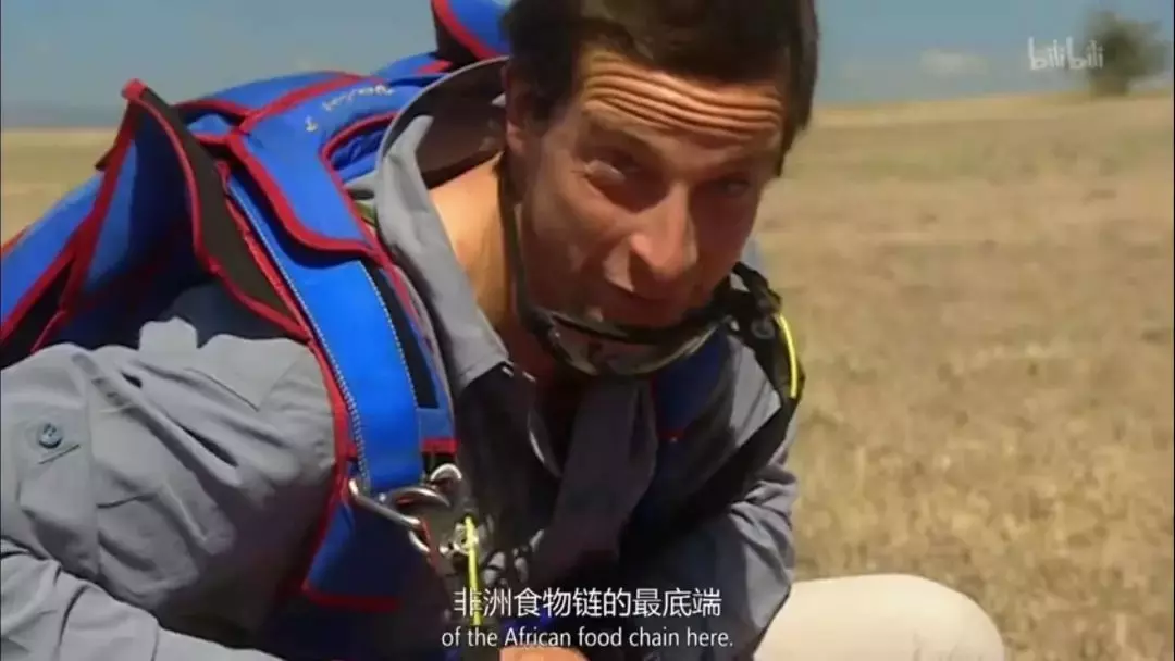 鸡肉味嘎巴脆!盘点《荒野求生》与贝爷的那些梗~