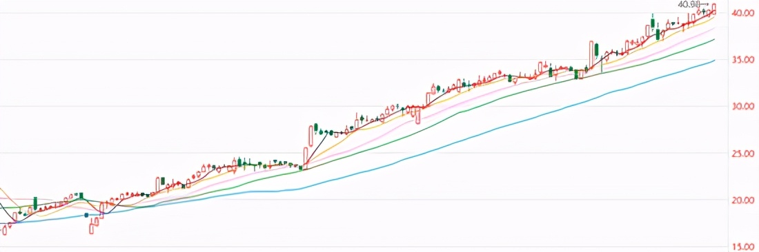 股市中一直亏钱的根源是什么？