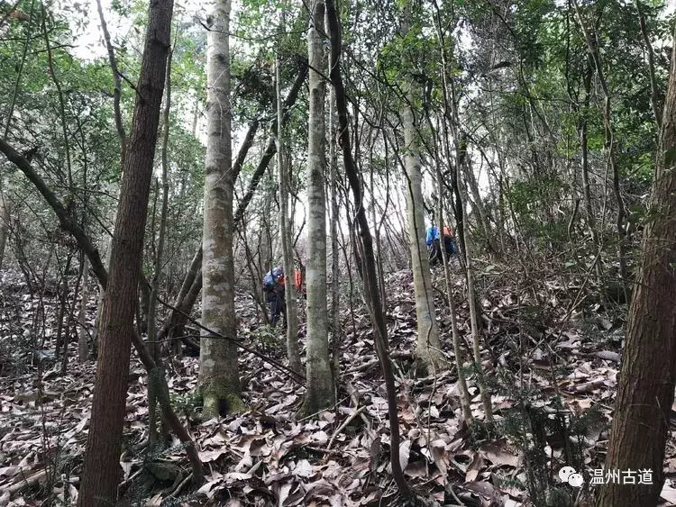 十八洞、迷魂谷、显胜门......雁荡险峰风光无限美!