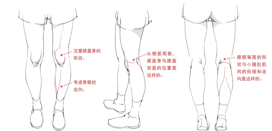 动漫女生小腿怎么画小白都应该学会的腿部画法教程