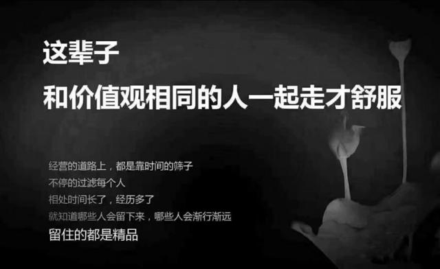 未来创业，什么项目最有前景