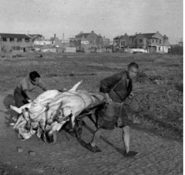 女特务潜伏西北三十年，为长期潜伏嫁给农民，生儿育女过村妇生活