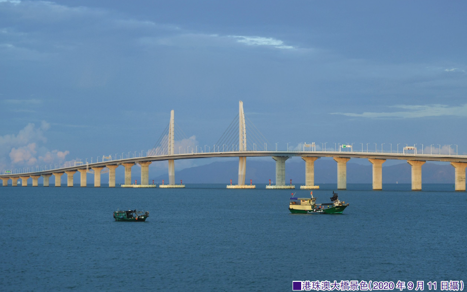 如何破解港珠澳大桥冷清之困？杨允中：港珠澳大桥应重新定位发挥综合效益