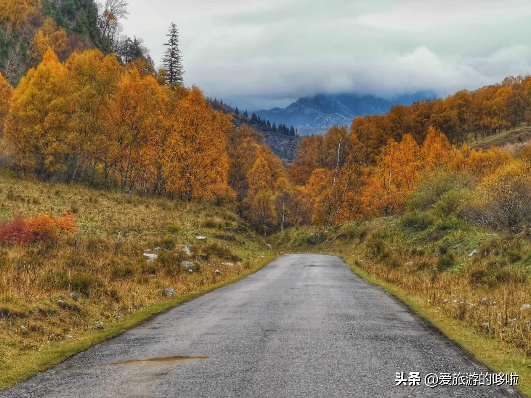 青海值得旅游的地方 青海湖最佳旅游月份(圖77)