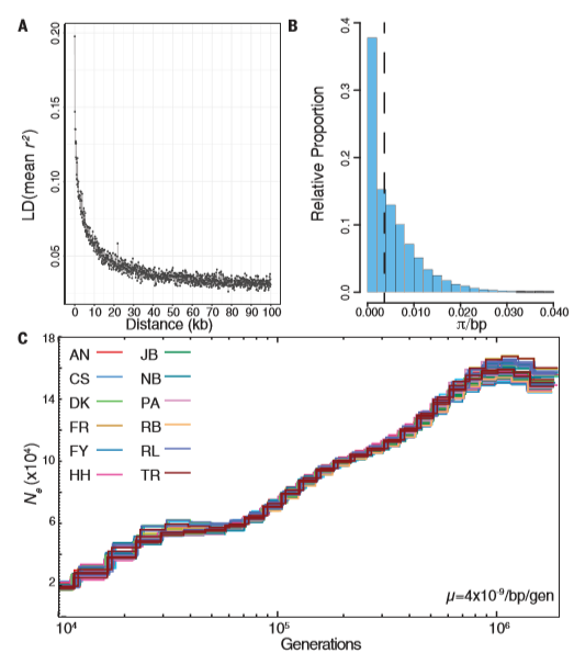 Science | 群体研究新思路：De novo + GWAS
