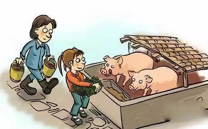 要想豬養(yǎng)的好，降低料肉比必不可少