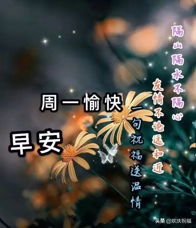 新的一周早上好问候语图片表情大全 早上好祝福表情大图图片