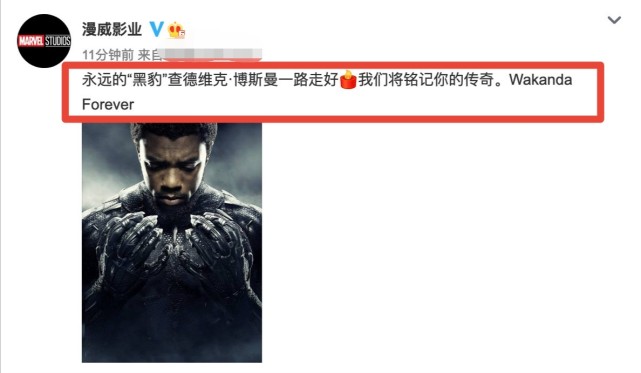 漫威悼念黑豹，他生命永停在43岁，网友：瓦坎达forever