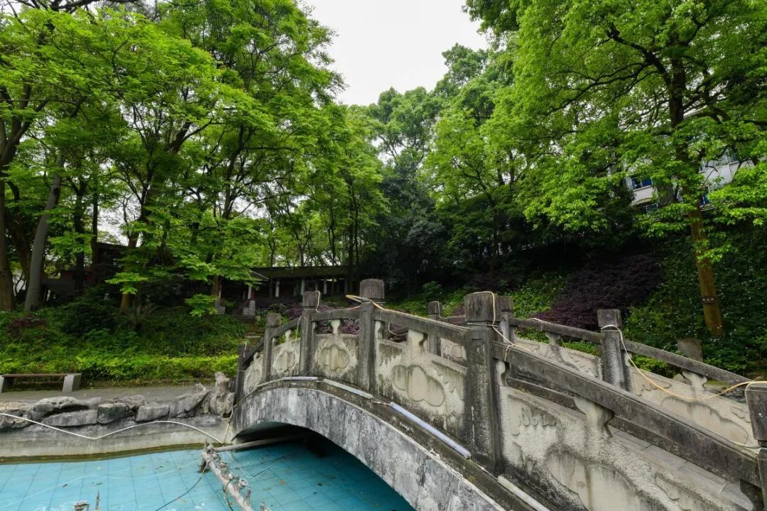 南山苍翠 二外荣光 重庆市作家进校园系列—重庆第二外国语学校