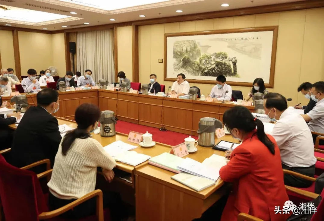 全国两会现场，湖南省委书记和代表们共同为这