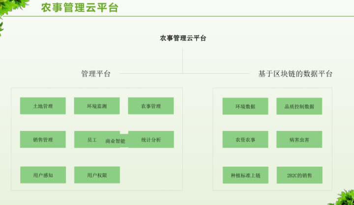 数字乡村治理体系信息化建设方案，附下载
